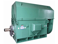 YJTG-315S-6A/75KWY系列6KV高压电机