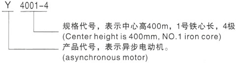 西安泰富西玛Y系列(H355-1000)高压YJTG-315S-6A/75KW三相异步电机型号说明