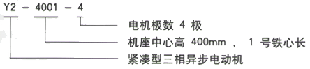 YR系列(H355-1000)高压YJTG-315S-6A/75KW三相异步电机西安西玛电机型号说明